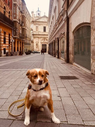 Mi Mascota de Paseo