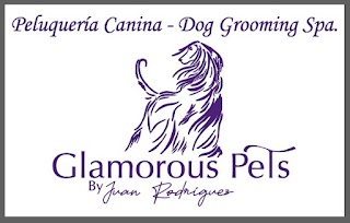 Glamorous Pets Marbella