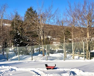 Winterplace at Okemo