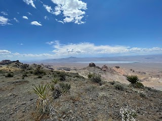 Oui Experience UTV off road rentals desert tours