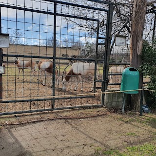 ZOO KOKI (Parque zoológico y botánico)