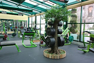 Gym Store