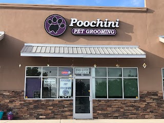 Poochini Pet Grooming