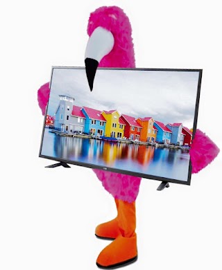 Flamingo Tax and Financial Services