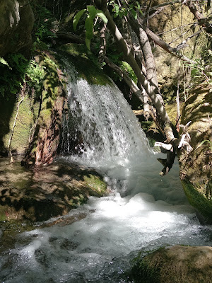 Cascada Honda Benamahoma