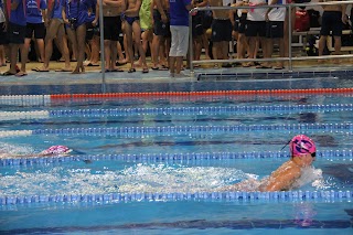 Club Natación Delfín