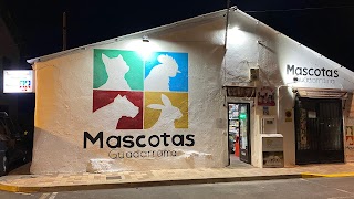 Mascotas Guadarrama