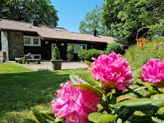 Ferienhaus Vogelsbergblick: Luxus Ferienhaus mit Hund mieten, eingezäunt, Alleinlage, Sauna, Kamin, Vogelsberg, Deutschland