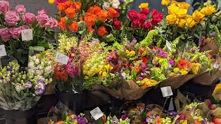 Jayne's Flowers - Boston