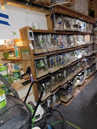 DUTCHESS EXOTICS PET SUPPLY