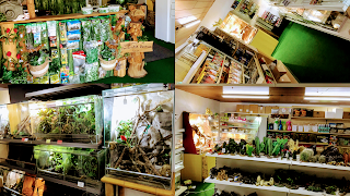 Terraristik Zentrum Saar