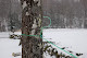Photo of Plummer's Sugar House - 2866 Townshend Road, Grafton, VT 05146, USA
