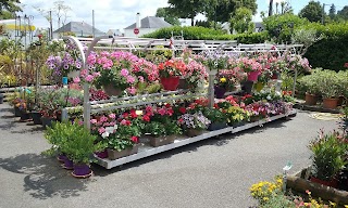 jardinerie animalerie de porh mirabeau