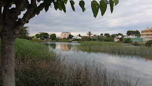 Lago de Manzana