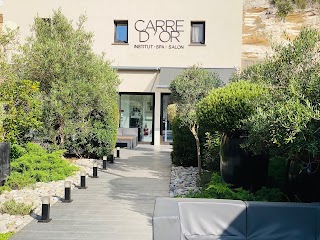 CARRE D'OR Salon de Coiffure - Institut - Spa