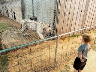 Great Cats World Park