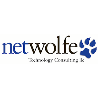 NetWolfe Technology Consulting