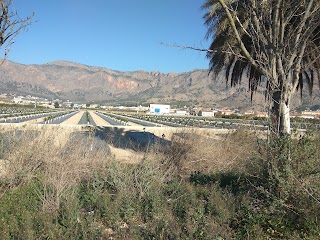 Piscinas Orcelitanas