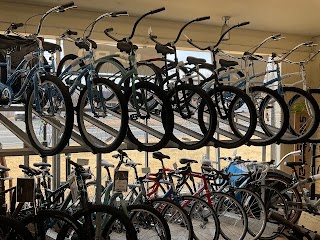 Mojo Bicycle Shop