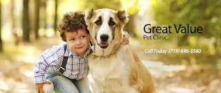 Great Value Pet Clinic, LLC