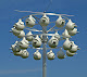 Photo of Purple Martin Propagators - 1749 Dapplegrey Lane, Austin, TX 78727, USA