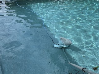 Clear Balance Pool Service