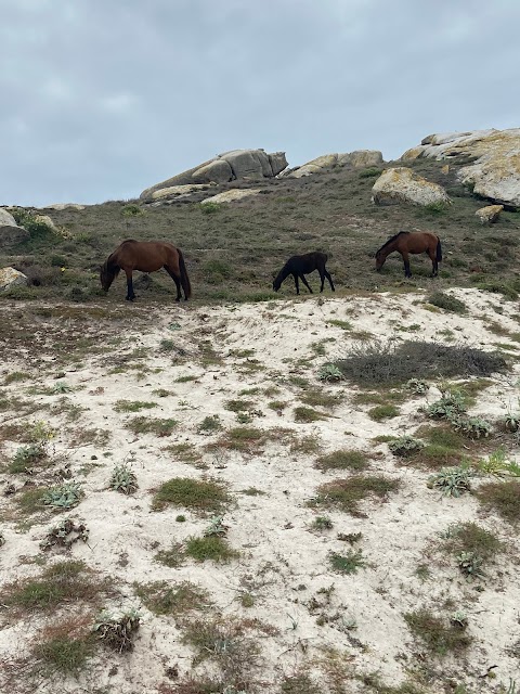 Mar de Aguiño - Excursiones y paseos en barco