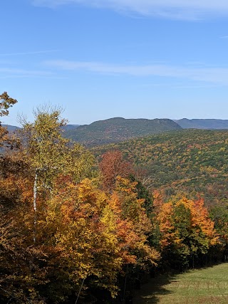 East Mountain State Forest