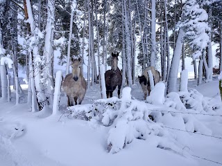 Equusfera, rutas a caballo guiadas.