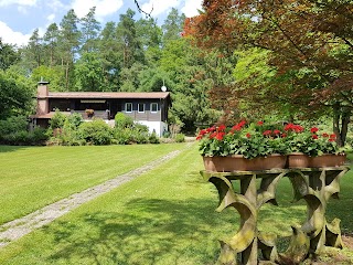 Ferienhaus Naturliebe: Ferienhaus mit Hund mieten in Alleinlage am Wald mit Sauna, Kamin, in Vogelsberg, Hessen, Deutschland