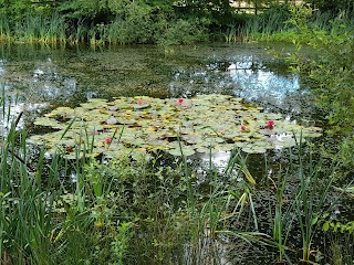 Jardin Botanique Universitaire de Poitiers