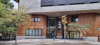 Instituto de Nanociencia y Materiales de Aragón(INMA)