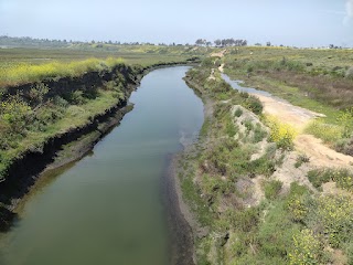 Upper Newport Bay Nature Preserve