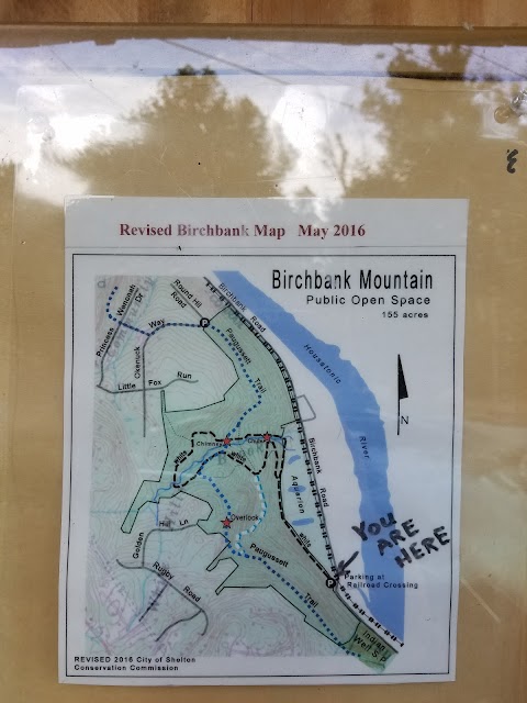 Birchbank Open Space