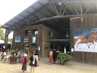 Théâtre Equestre de Bretagne - Equus Arte