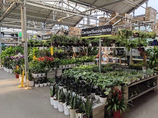 The Home Depot