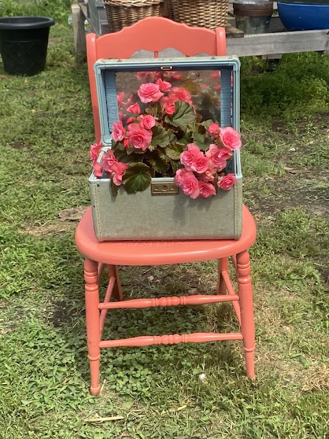 Kathryn's Flowers & Greenhouses