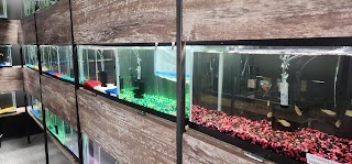 Tropical Oasis Fish and Pets