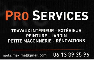 Pro services