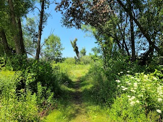 Indiana Dunes National Park Great Marsh Trail