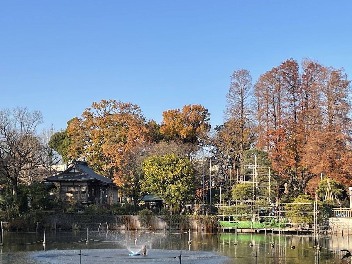 碑文谷公園