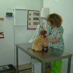 Centro Veterinario El Parque