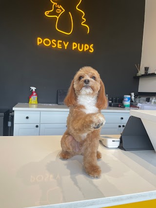 Posey Pups
