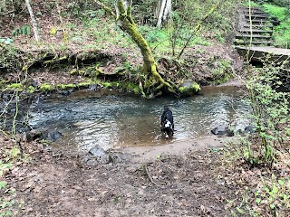 Indian Creek Trail - College Trailhead