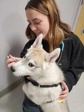 Slatersville Veterinary Clinic