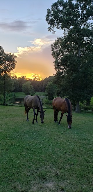 A Stable Connection Counseling Center