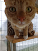 Photo of AS/AP Cat Shelter - 1801 Old Airport Road, Sparta, WI 54656, USA