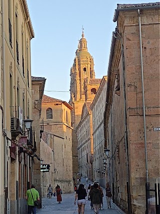 Colegio de España