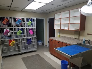 Harvest Hills Veterinary Hospital