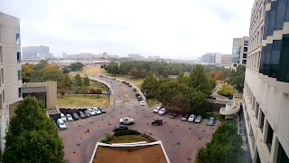 Harold C. Simmons Comprehensive Cancer Center